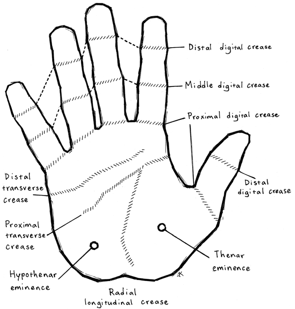 hand_map | Barbell Medicine